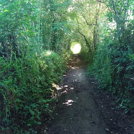 Le Moulin De La Baleine, Au Calme, En Pleine Nature La Baleine