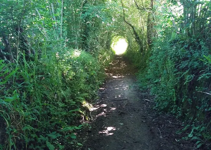 Le Moulin De La Baleine, Au Calme, En Pleine Nature La Baleine